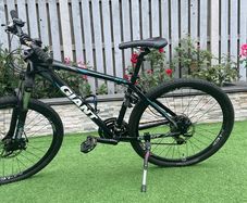 Giant Bike