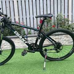 Giant Bike