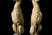 Large Sitting Greyhounds EG002