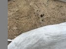 Topsoil For Sale Image 3