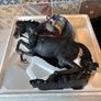 DC Collectibles - Batman Image 5