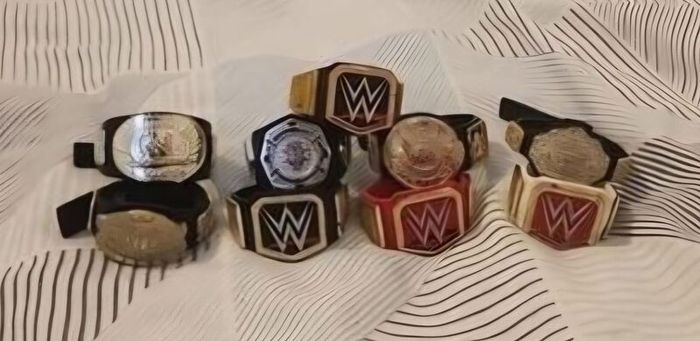 wwe action figures and accessories