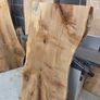 Live Edge Sycamore slab - Kiln Dried Image 2