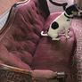 victorian sofa Image 3