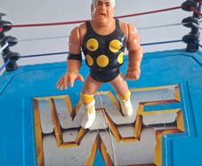 WWF WWE Wrestling Hasbro Dusty Rhodes