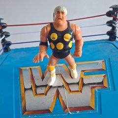 WWF WWE Wrestling Hasbro Dusty Rhodes