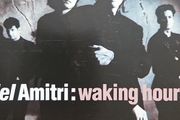 Del Amitri - Waking Hours.