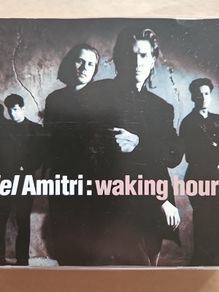 Del Amitri - Waking Hours.