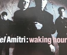 Del Amitri - Waking Hours.