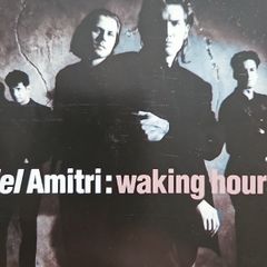Del Amitri - Waking Hours.