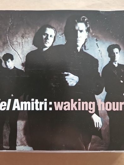 Del Amitri - Waking Hours.