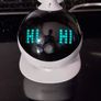 EBO Robot friend for cats. Image 3