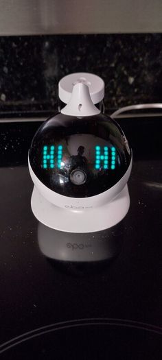 EBO Robot friend for cats.