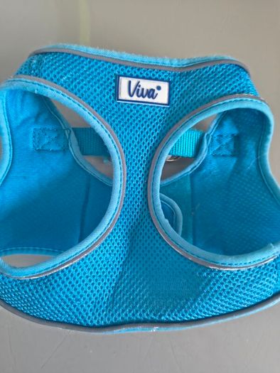 Small dog harness