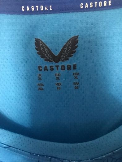Leinster Rugby Performance Top