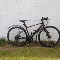 Giant fastroad bike