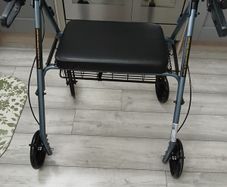 disability walker