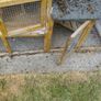 rabbit hutch Image 5