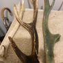 deer antlers Image 4