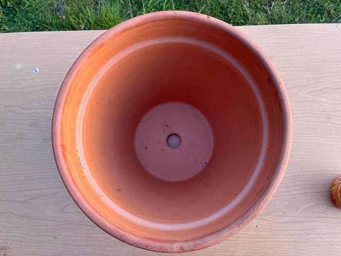 Terracotta flower pot