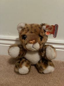 teddy