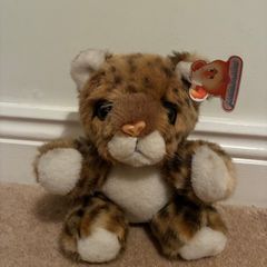 teddy