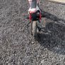 50cc dirt bike Image 2