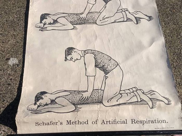 1940's Browne & Nolan Dublin Ltd Medical Poster(40x30")