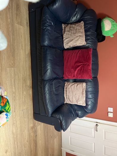 free to take genuine leather couch
