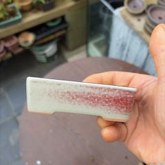 bonsai pot
