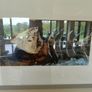 Fish paintings 63cm w x 43 h Image 3