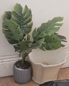 Plastic Plant