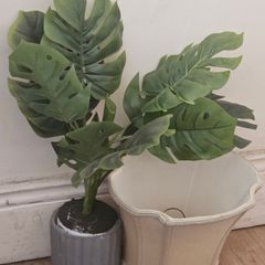 Plastic Plant