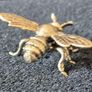 3 brass Insects, Solid brass. Image 6