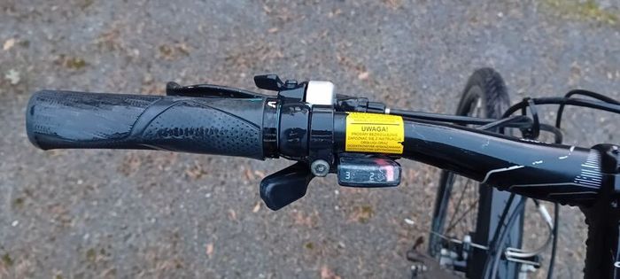 Ladies Bicycle Giant
