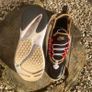 Get Premium Style Nike Zoom 2k Image 4