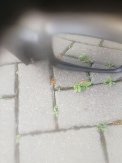 corsa side mirror