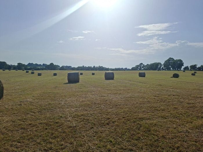 Round Bales of top quality hay for sale