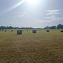 Round Bales of top quality hay for sale Image 2
