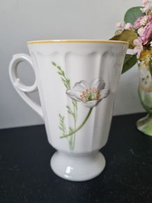 Villeroy and Boch "My Garden" Mug