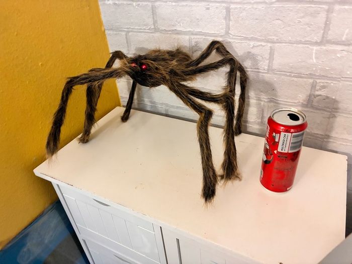 awesome new spider