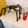 awesome new spider Image 3