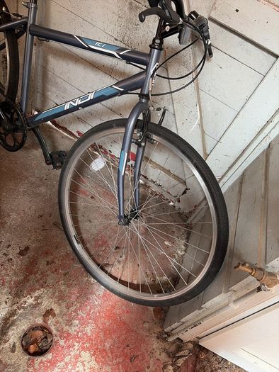 Unisex bike