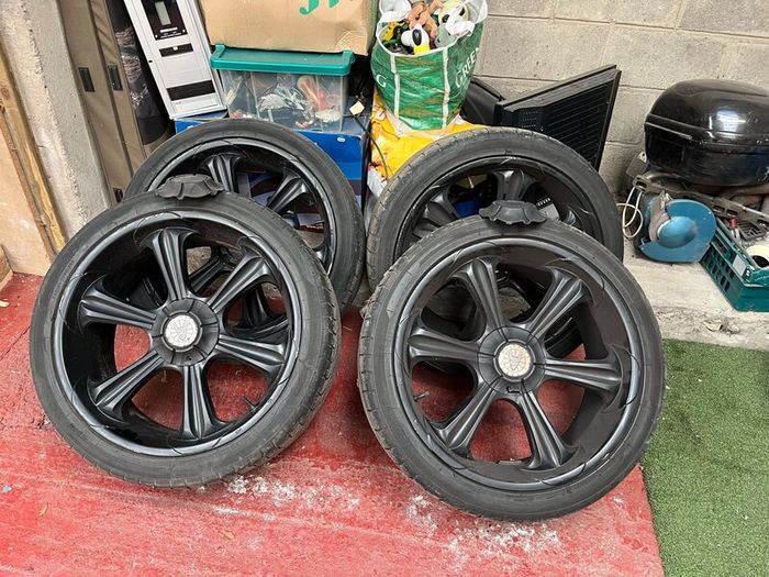 Wolf race wheels