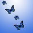 ButterflyButterfly