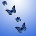 ButterflyButterfly