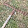Garden rake Image 2