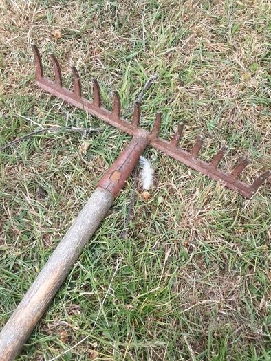 Garden rake