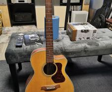 Walden G740CE / w Fishman PU | In Great Condition