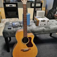 Walden G740CE / w Fishman PU | In Great Condition